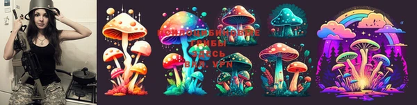 МДМА Чердынь