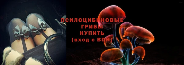 твердый Бронницы