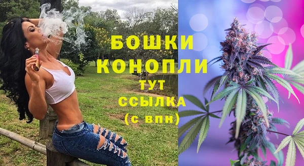 твердый Бронницы