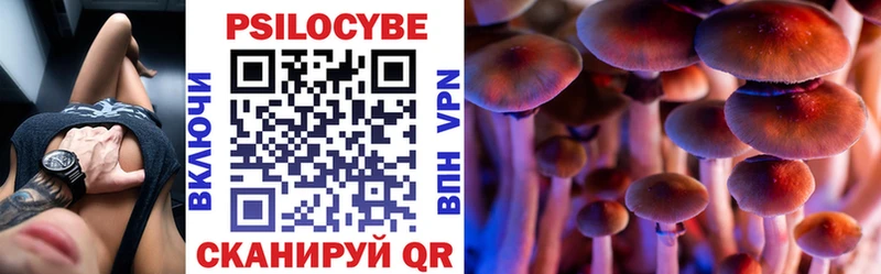 Галлюциногенные грибы Magic Shrooms  дарнет шоп  Дубовка 